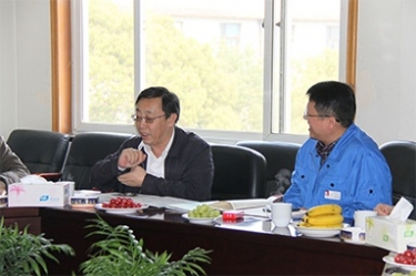 2013年3月18日，時任國家工信部節(jié)能司副司長楊鐵生一行蒞臨公司參觀指導(dǎo)